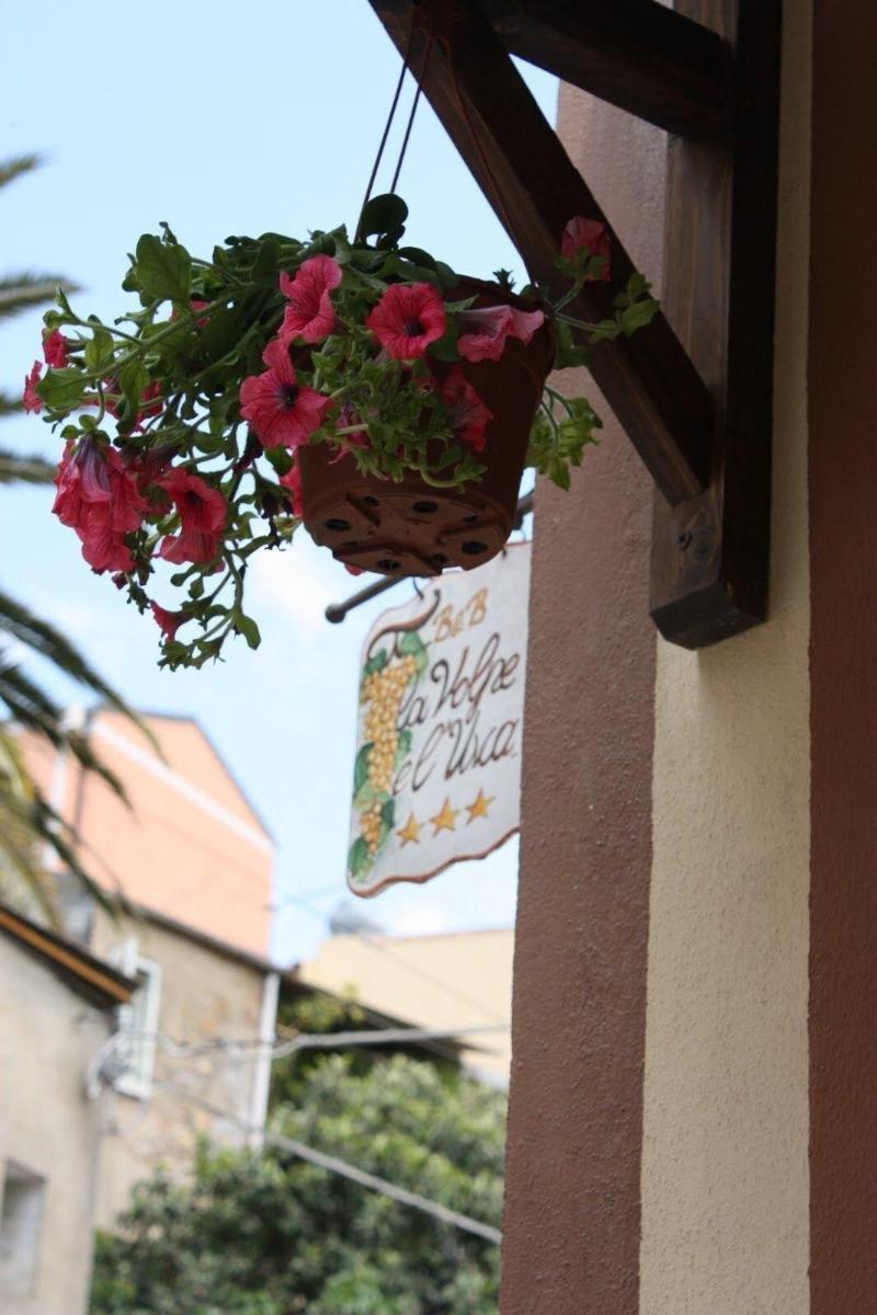 La Volpe E L'Uva B&B Пиаца Армерина Екстериор снимка